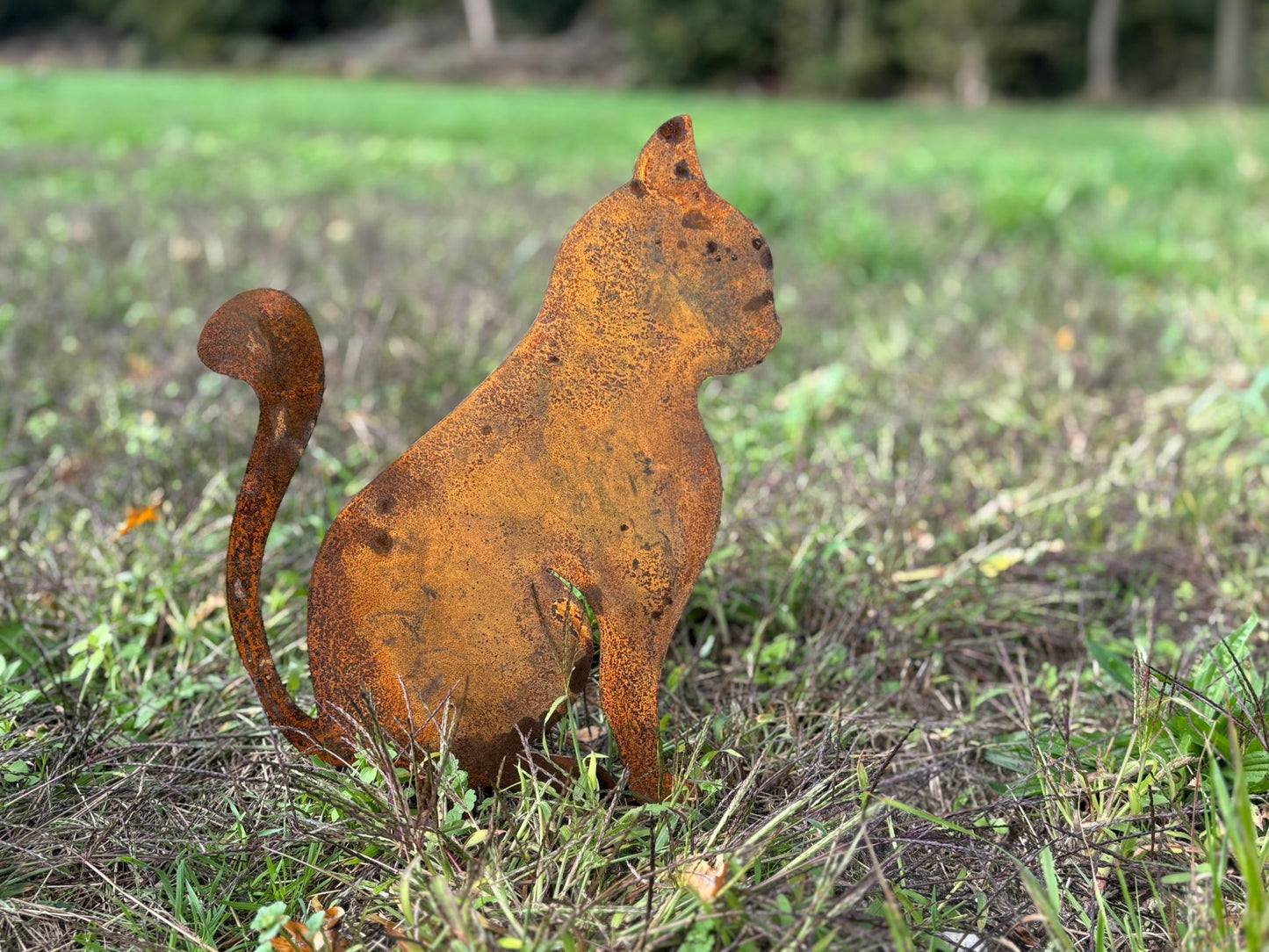 Poes zittend tuinprikker