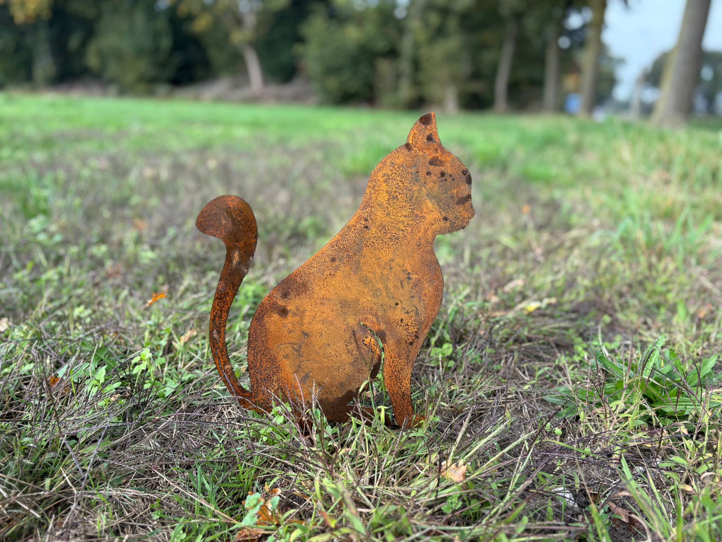 Poes zittend tuinprikker