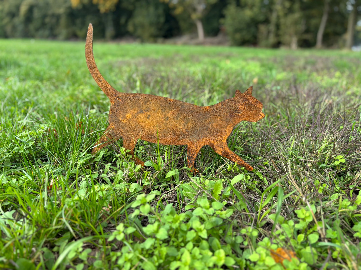 Poes lopend tuinprikker